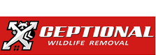 Xceptional Wildife Removal Logo